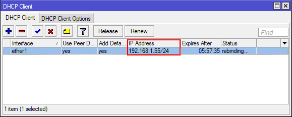 Микротик полученный автоматически IP адрес